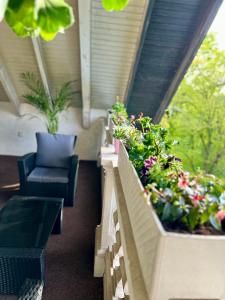 un balcón con algunas plantas, una silla y una ventana en Pension Marco, en Trendelburg