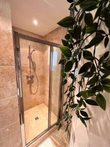 a shower stall in a bathroom with a plant at Grand appartement a 300M de la plage in Sainte-Maxime