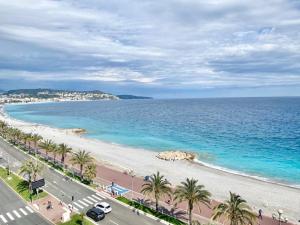 vistas a una playa con palmeras y al océano en SEA FRONT View Top Roof Flat en Niza
