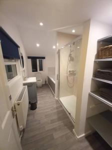 uma casa de banho com um chuveiro, um WC e um lavatório. em Blackbrook Lodge Cabin em Turnditch