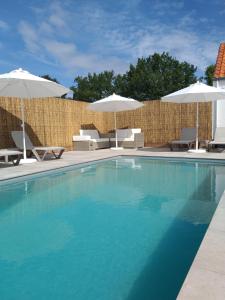 einen Pool mit Stühlen und Sonnenschirmen in der Unterkunft Landhuys Odette in Retie