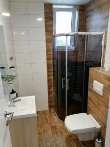 a bathroom with a shower and a toilet and a sink at Apartman Savic in Vrnjačka Banja +24 photos