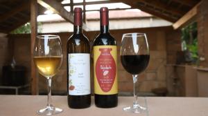 Nápoje v ubytování Maximus Wine Cellar & Guest House,Bagdati Wine House