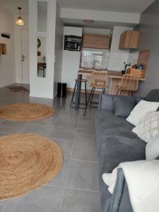 Il comprend un salon avec un canapé et une cuisine. dans l'établissement Appartement aux Minimes, à La Rochelle