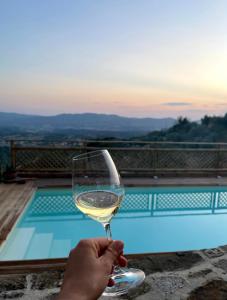 una persona sosteniendo una copa de vino cerca de una piscina en Villa Borgo Soale, en Reggello