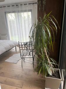 ein Zimmer mit einem Tisch, Stühlen und einer Pflanze in der Unterkunft Quiniere - Entre Lac et Forêt in Blois