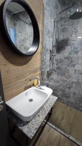 a bathroom with a sink and a mirror and a shower at Villa Natali in Ohrid