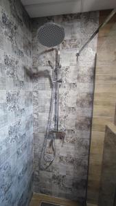 a shower with a shower head in a bathroom at Villa Natali in Ohrid