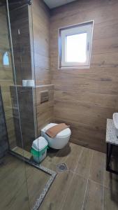 a bathroom with a toilet and a glass shower at Villa Natali in Ohrid
