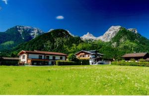 una casa en un campo con montañas en el fondo en Landhaus Haitzmann en Lofer