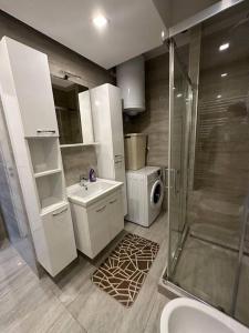 La salle de bains est pourvue d'une douche, d'un lavabo et d'un lave-linge. dans l'établissement Cityscape Penthouse, à Sarajevo