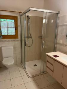 a bathroom with a shower and a toilet and a sink at Bed & Breakfast La Val in Trin