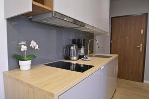 Kuchyňa alebo kuchynka v ubytovaní Apartamenty Bryza-Matejki 1B-Parking