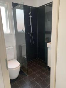 a bathroom with a toilet and a glass shower at Luxe appartement met sauna in Drachten