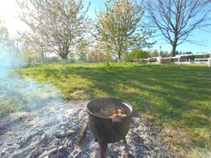 Sprzęt do grillowania w domu wakacyjnym