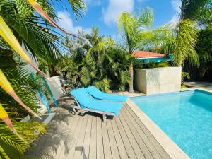 Fotografie z fotogalerie ubytování Endless Summer v destinaci Palm-Eagle Beach