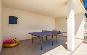 Stolní tenis v ubytování 1 Bedroom Lovely Apartment In Rakovica nebo okolí