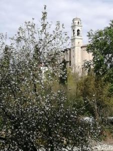 Fotografie z fotogalerie ubytování Due Magnolie v destinaci Monzambano