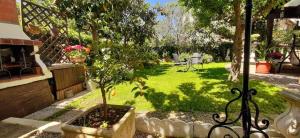 un jardín con un pequeño árbol en un patio en CASA AGATA A DUE PASSI DAL MARE, en Santa Marinella