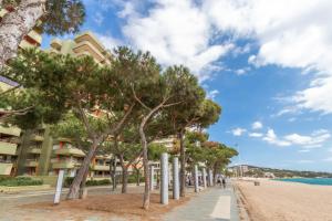 a row of trees on a beach next to a building at Maria Beach in Platja  d'Aro