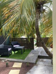 Jardí fora de Ti Repos Martinique - maison avec Spa
