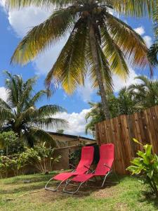 two red chairs sitting under a palm tree at Maison avec spa et jardin in Schœlcher