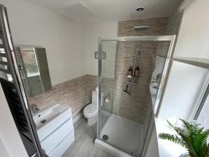 a bathroom with a shower and a toilet and a sink at Rhondda Tunnel Cottage by StayStaycations in Treorky