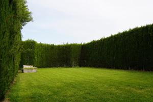 Gambar di galeri bagi Casina Mozart Lecce di Magliano