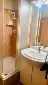 La salle de bains est pourvue d'un lavabo et d'une douche. dans l'établissement Font-Romeu : T2 avec grande terrasse et garage, à Font-Romeu-Odeillo-Via