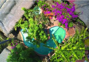 an overhead view of flowers and a swimming pool at Meno Island Villas in Gili Meno