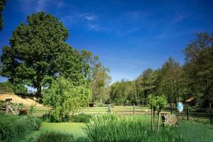 a field of grass with a fence and a tree at Ranč Červený mlýn in Lisov