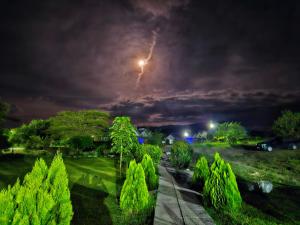 a night view of a park with a street light at VICTORIA SANDS LODGE in Mbita