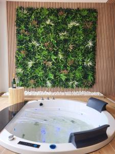 a bath tub in a room with a green wall at Les Secrets du Lac in Ardres