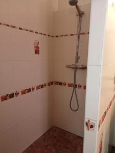łazienka z prysznicem z głowicą prysznicową w obiekcie Le gîte embarqué - Géré par Presta-Zen'Services - Barque électrique en supplément w mieście Verdun +32 zdjęcia
