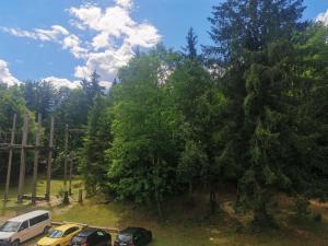 eine Gruppe von Autos, die auf einem Parkplatz neben Bäumen geparkt sind in der Unterkunft Hostel pod Voglom in Bohinj