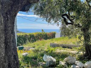 a tree in a field with a view of the ocean at Villa SYAGRUS - Easy Home Booking in Nice