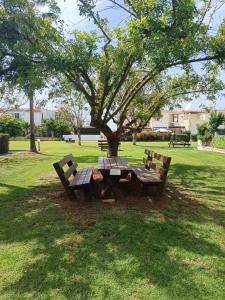 una mesa de picnic bajo un árbol en un parque en EROS Maisonette in Latchi area just 700 meters or one-minute drive from Polis Municipal Beach, en Lachi