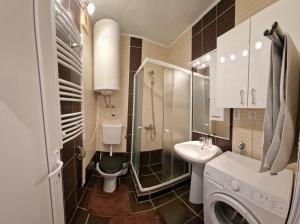 Bilik mandi di Apartmani Komatina Đenovići 2 +33 gambar
