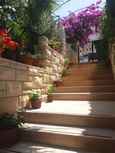 een trap met potplanten en bloemen bij Villa Tania in Hvar