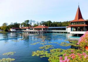 a large pond with lily pads in front of a building at Új Lilla Apartman in Keszthely