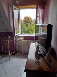 un soggiorno con TV e finestra di Gîte Le Jardin de Hermolsheim. Alsace très spacieux a Mutzig