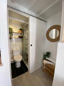 ein Bad mit einem WC und einem Spiegel in der Unterkunft Le Nid douillet - HyperCentre - à 2 Pas de la Gare in Toulouse