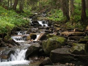 a stream of waterfalls in a forest with rocks and trees at Prospect Cottage by StayStaycations in Treorky