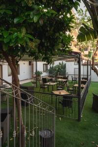 Κήπος έξω από το Hotel Domomea