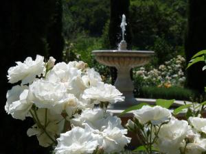 Zahrada ubytování Domaine de Coussères