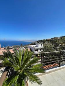 a palm tree on the balcony of a building at Horizon Art Villa in Rodia +51 photos