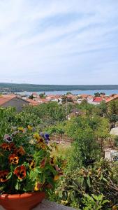 Fotografia z galérie ubytovania Apartman Mihaela v destinácii Gornji Karin