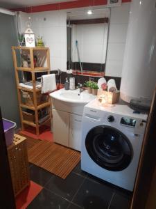 eine Küche mit einer Waschmaschine und einem Waschbecken in der Unterkunft Chata u rybníka - Chrastná in Osečná