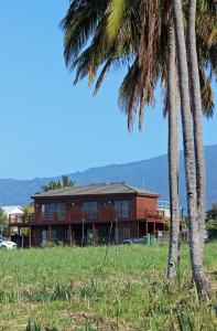 une maison avec des palmiers devant elle dans l'établissement Ti Kaz C2C - Une maison Balinaise, à Saint-Pierre