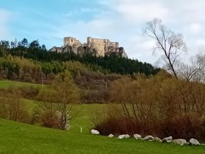 un castillo en una colina con ovejas en un campo en Ubytko v Rajeckej doline 